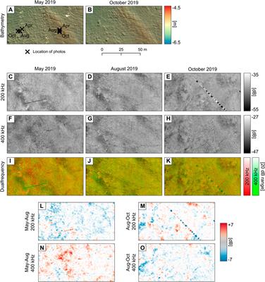 Seasonal change of multifrequency backscatter in three Baltic Sea habitats